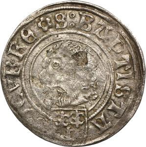 Groš 1507, Nisa
