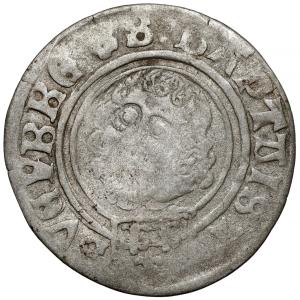 Groš 1507, Nisa