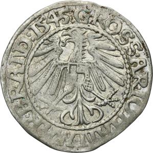 Groš 1545, Krosno