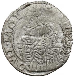 Bílý groš 1560, Těšín