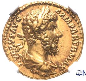 Aureus
