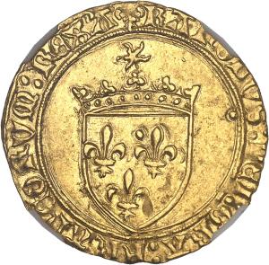 Ecu d'or (1494-1498), Angers