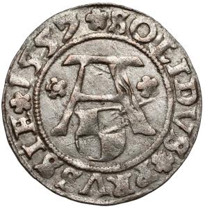Šelag 1557, Kaliningrad