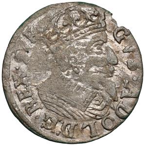Groš 1629, Elbínek