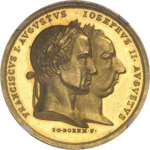 Zlatá medaile 1824, Vídeň