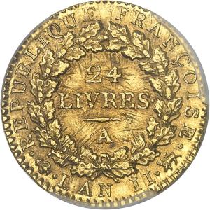 Louis d'or 1793, Paříž