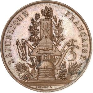 Medaile 1851, Paříž