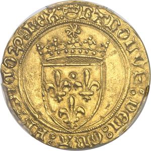 Ecu d'or (1483-1494), Rouen