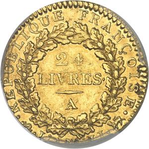 Louis d'or 1793, Paříž