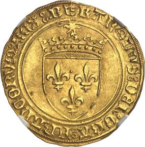 Ecu d'or (1483-1494), Bourges