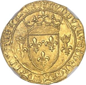 Ecu d'or (1461), Montpellier