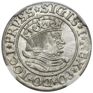 Groš 1533, Toruň