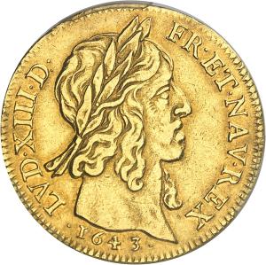 2 louis d'or 1643 D, Lyon