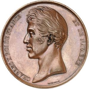 Medaile 1830, Paříž
